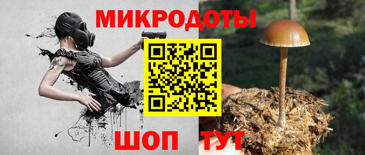 Галлюциногенные грибы прущие грибы  Вход с VPN  Псилоцибиновые грибы прущие грибы  Саров 